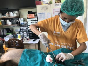 TMTRD Veterinary Team