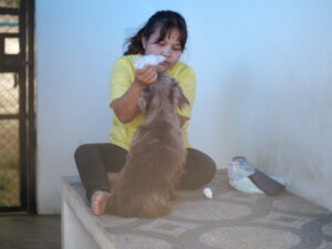 TMTRD Veterinary Team
