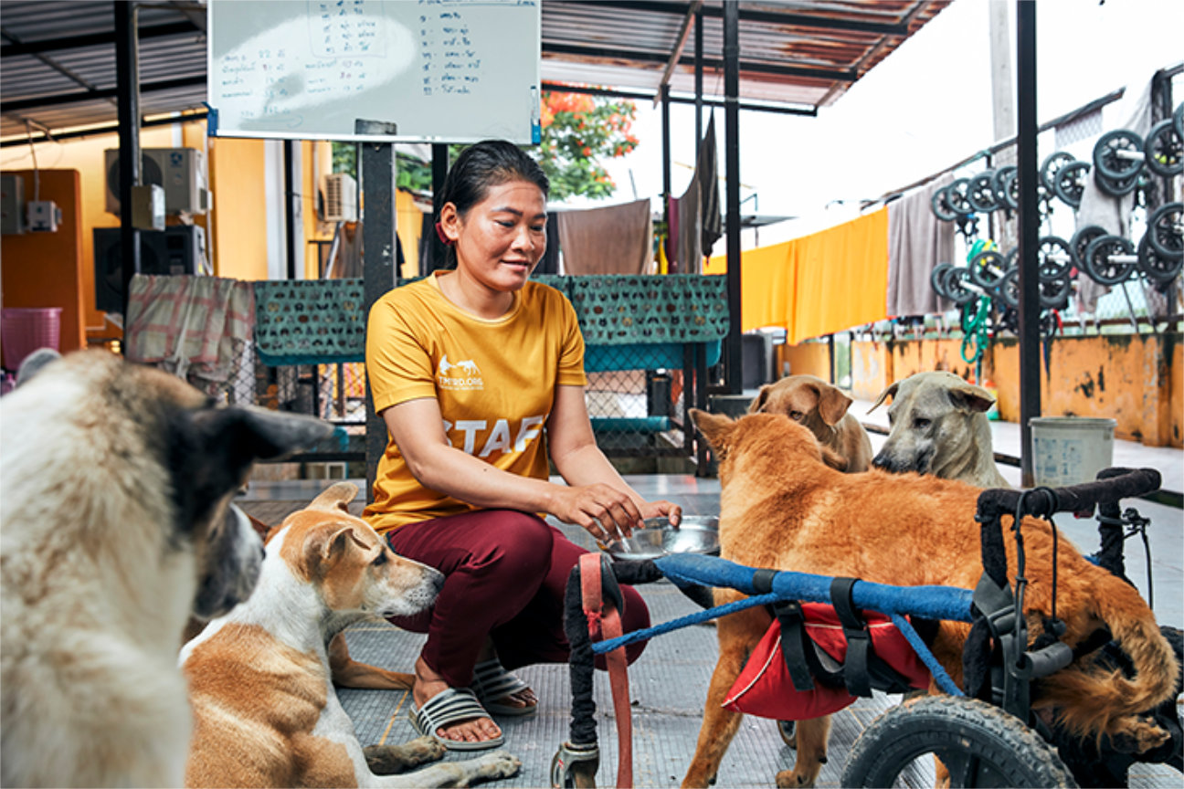 Dogs in the Care Unit
