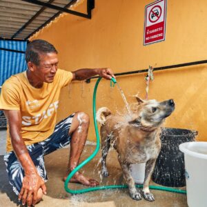 Bathe a Shelter Dog